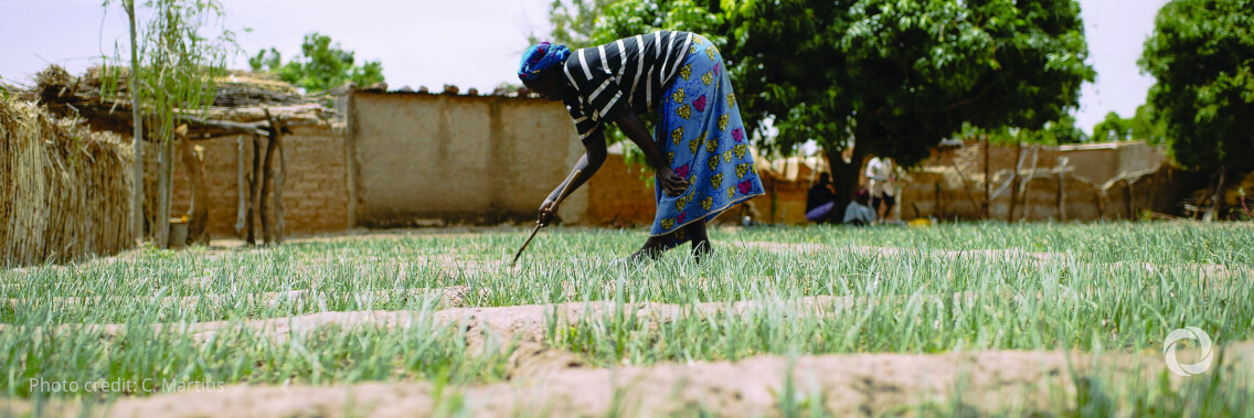 At COP 15, IFAD calls for immediate long-term investments in land restoration and climate resilience to ensure global food security