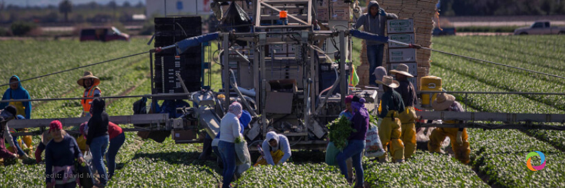 Migration for climate action: how labour mobility can help the green transition Migration for climate action: how labour mobility can help the green transition