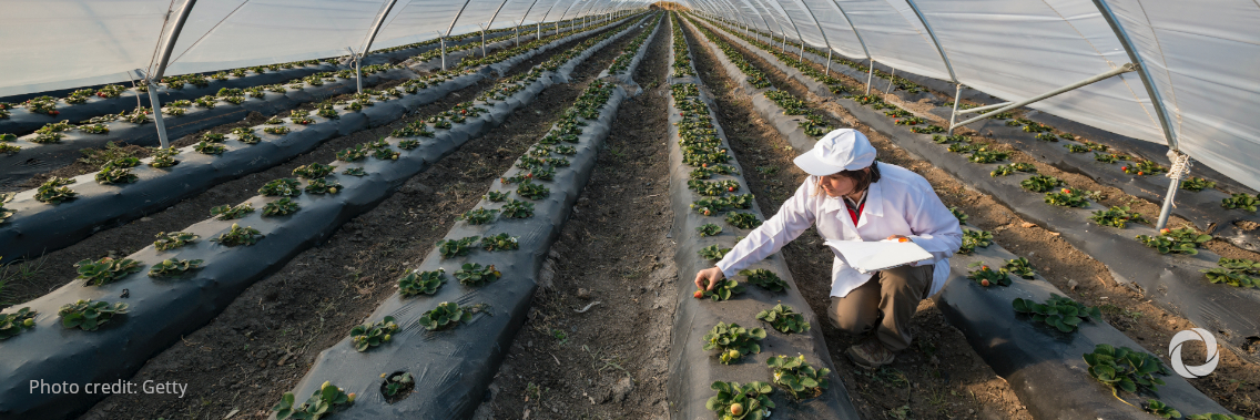 Global demand for Nordic green solutions continues – Nopef supported SMEs with over EUR 1.2 million funding Global demand for Nordic green solutions continues – Nopef supported SMEs with over EUR 1.2 million funding