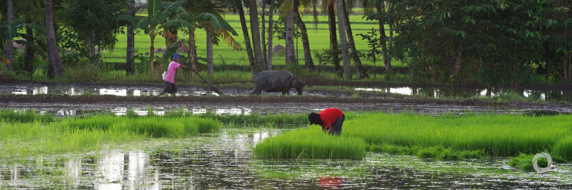 $250 million ADB loan to help the Philippines deliver on climate ambitions $250 million ADB loan to help the Philippines deliver on climate ambitions