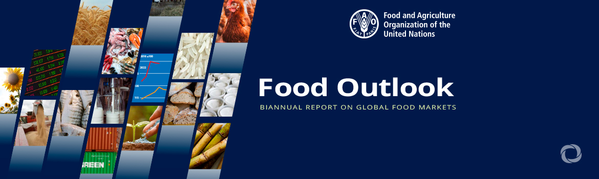 New UN Food Outlook report: World’s most vulnerable are paying more for less food
