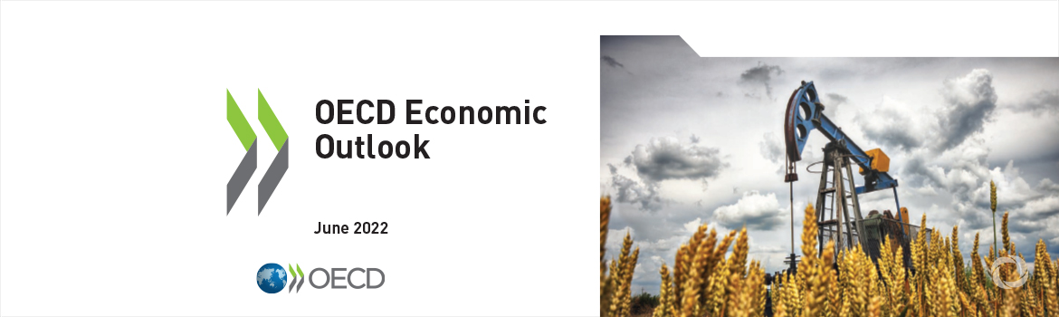 OECD Economic Outlook reveals heavy global price of Russia’s war against Ukraine