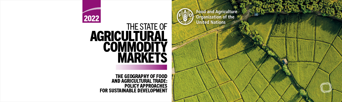 UN report: Reducing trade costs can help drive sustainable development
