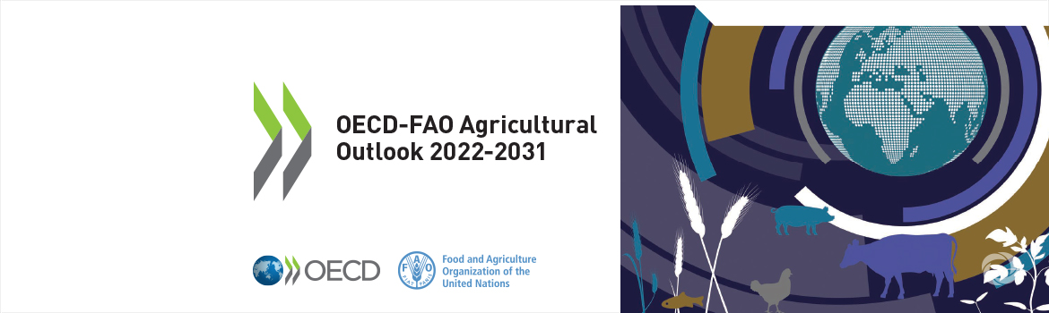 Heads of OECD and FAO emphasise the importance of peace and transforming our agrifood systems for guaranteeing access to food for the world’s poorest