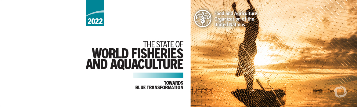 Record fisheries and aquaculture production makes critical contribution to global food security