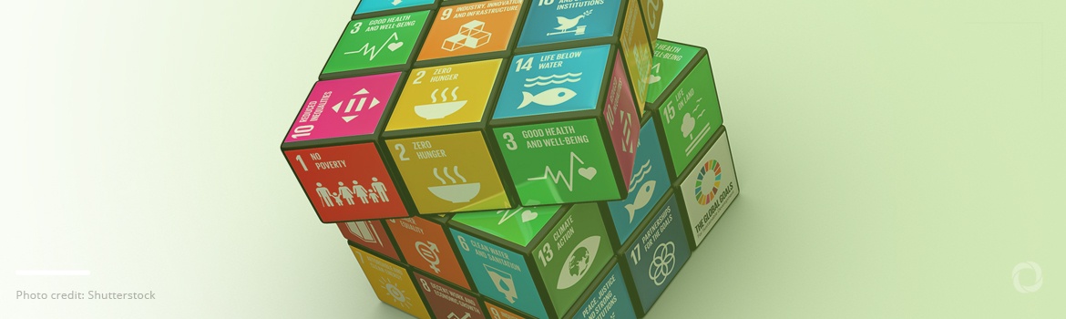 Progress on sustainable development goals stalls worldwide