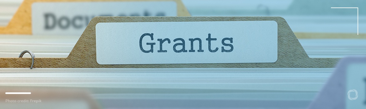 Academic, innovation, or economic: What are the most common types of grants?