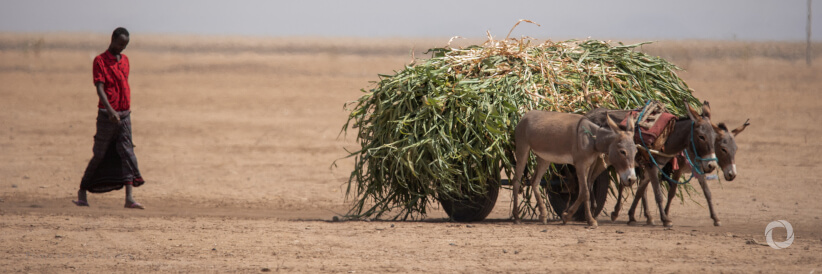USA provides nearly $105 million for urgent food, humanitarian assistance amid worst drought on record in the Horn of Africa