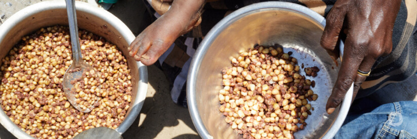 WFP forced to suspend food assistance in South Sudan as funds dry up and nation faces hungriest year since independence