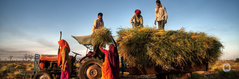 IFAD and Government of Uttarakhand partner to double rural incomes and build climate resilience in the state