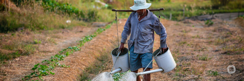 IFAD €3.5 million loan to promote women-led agribusiness in Madagascar and support small-scale farmers