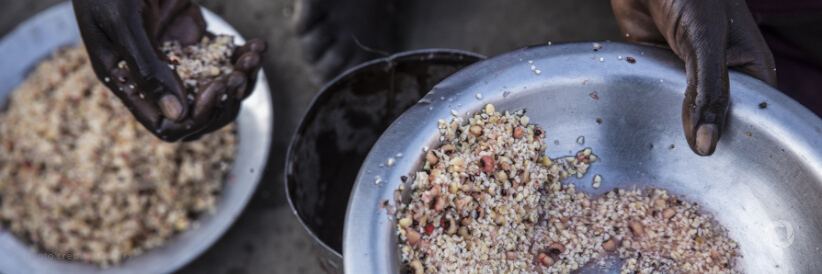 The United States announces new commitments to respond to the global food security crisis The United States announces new commitments to respond to the global food security crisis