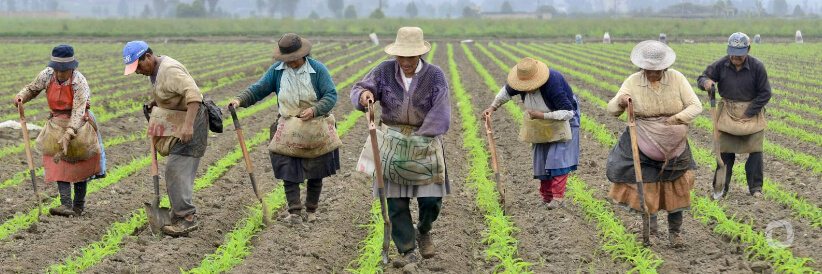 USAID announces $331 million in food security and humanitarian assistance for Latin America and the Caribbean