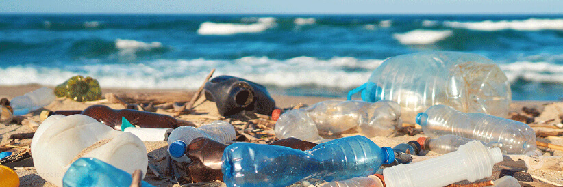 World Bank approves US$20 million regional grant for ASEAN to combat marine plastic pollution in Southeast Asia