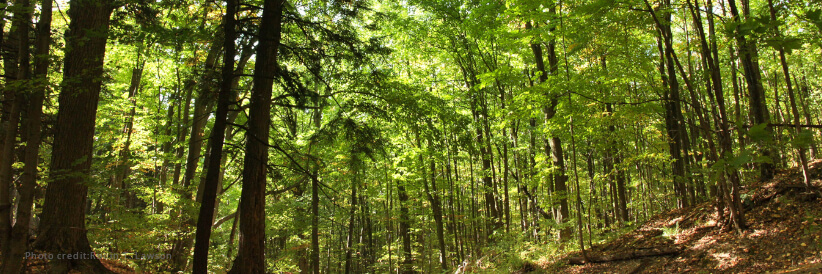 USDA announces $503 million to improve outdoor recreation and conservation on national forests USDA announces $503 million to improve outdoor recreation and conservation on national forests
