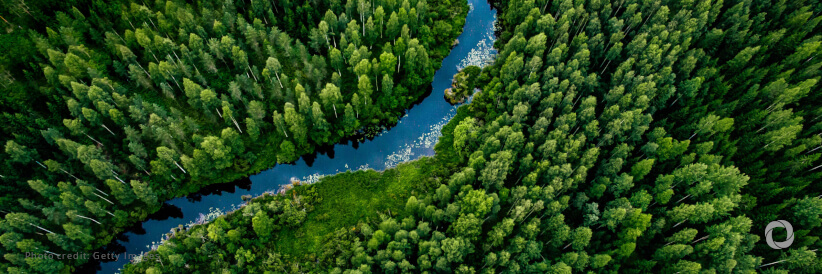 Stockholm+50 opens with calls to accelerate action for a healthy planet and prosperity for all