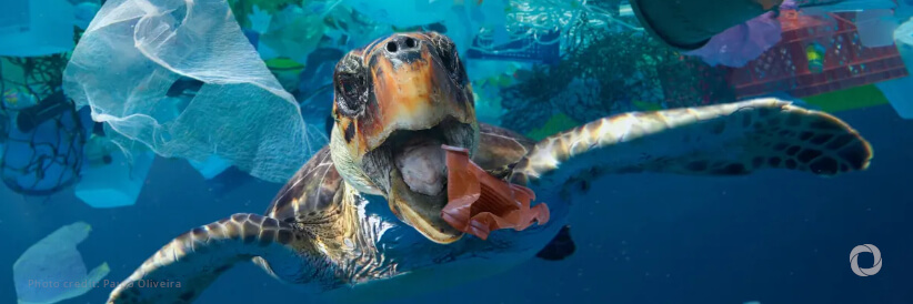 Tackling marine pollution: Individual action, key to ocean restoration