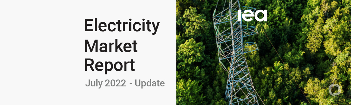 Global electricity demand growth is slowing, weighed down by economic weakness and high prices