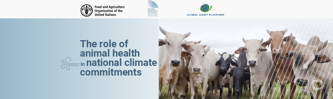 Animal health important for helping cut greenhouse gas emissions, new report says Animal health important for helping cut greenhouse gas emissions, new report says
