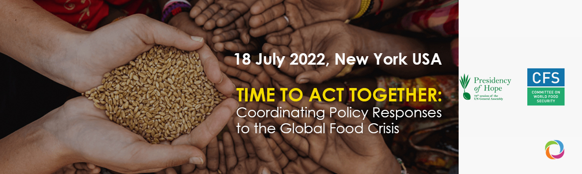 Time to Act Together: Coordinating Policy Responses to the Global Food Crisis