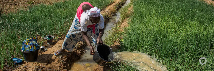 African Development Fund approves $20.2 million grant to raise food production in Malawi