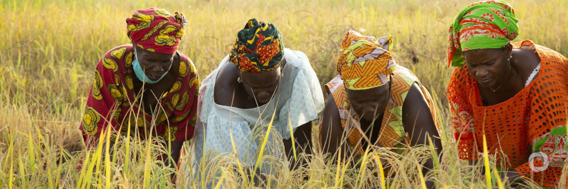 Funding for women’s economic empowerment stagnates, despite an increase in international development funding Funding for women’s economic empowerment stagnates, despite an increase in international development funding