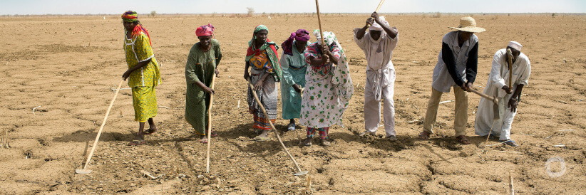 The United States provides immediate assistance to respond to widespread food insecurity in Cabo Verde