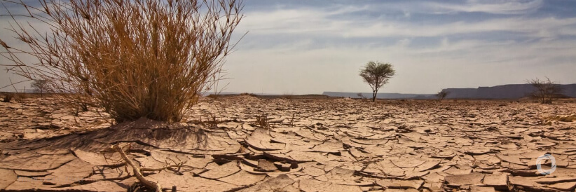 Adapting to climate change can save lives & livelihoods Adapting to climate change can save lives & livelihoods