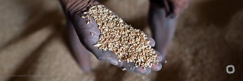 UN and partners meet to address ‘critical’ state of global food crisis UN and partners meet to address ‘critical’ state of global food crisis