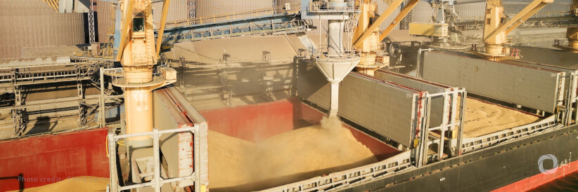 Grain exports from Ukraine: IRC urges international community to support safe and efficient humanitarian pathways Grain exports from Ukraine: IRC urges international community to support safe and efficient humanitarian pathways