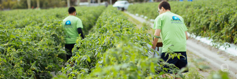 GGGI and UNCDF expand their partnership to support small green businesses in the Pacific GGGI and UNCDF expand their partnership to support small green businesses in the Pacific