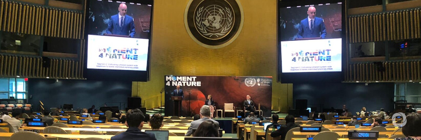 ‘Moment for Nature’ essential to beat back threats, spur climate action ‘Moment for Nature’ essential to beat back threats, spur climate action