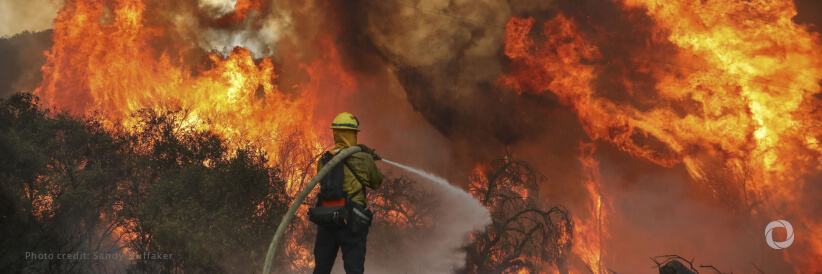 New financing mechanism for climate action becomes operational