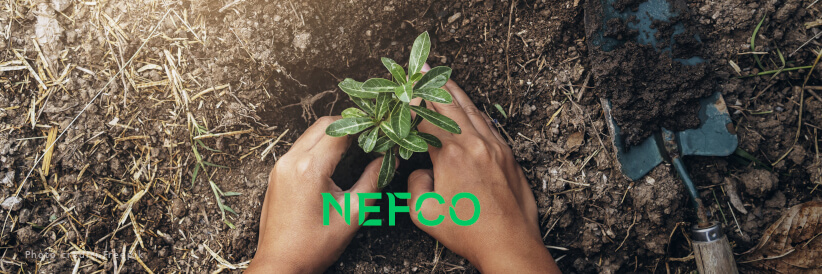Nefco’s pioneering biodiversity pilot programme to test and develop nature-based solutions with companies Nefco’s pioneering biodiversity pilot programme to test and develop nature-based solutions with companies