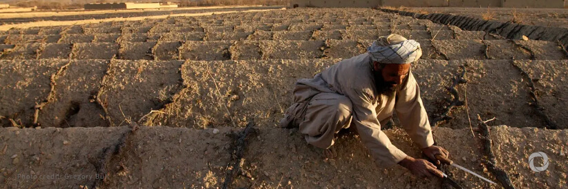 Boosting local food production, generating income and reviving rural markets in Afghanistan Boosting local food production, generating income and reviving rural markets in Afghanistan