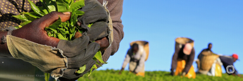 AATI: an innovative initiative to transform African agriculture