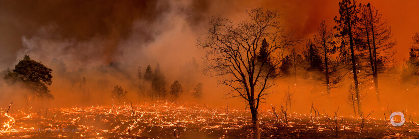 Forest fires: EU continues to mobilise assistance for France and other countries Forest fires: EU continues to mobilise assistance for France and other countries