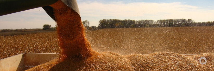 WFP vessel leaves Ukraine with grain for humanitarian response in Yemen