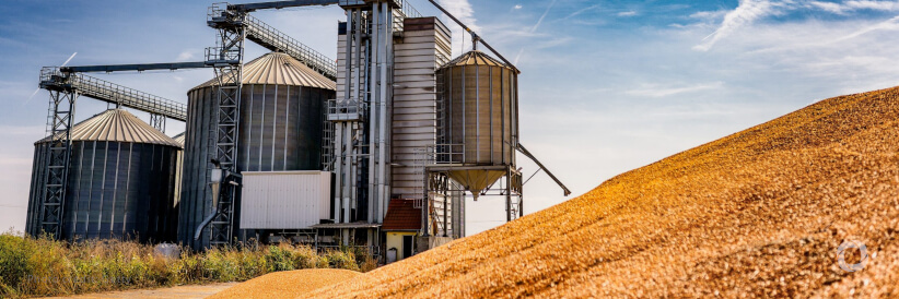 Ukraine: FAO, Canada join forces to address grain storage deficit