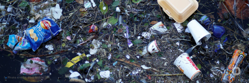 WWF calls on states to join newly-formed plastic coalition and end plastic pollution by 2040