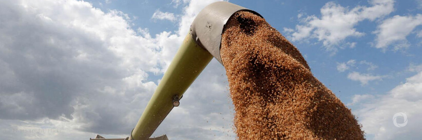 Ukraine grain export deal off to ‘a very good start’ – UN interim Coordinator