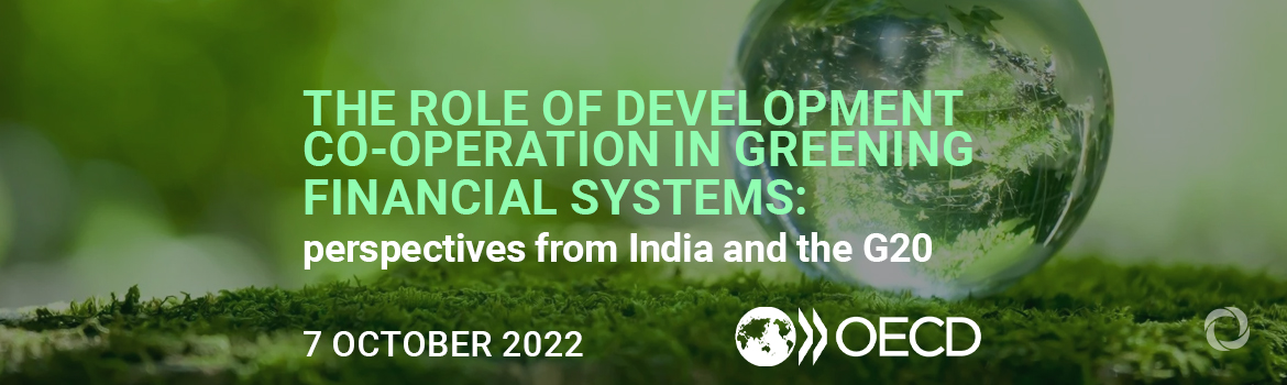 The role of development co-operation in greening financial systems: perspectives from India and the G20