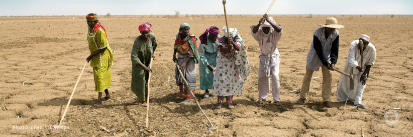 How Africa can escape chronic food insecurity amid climate change