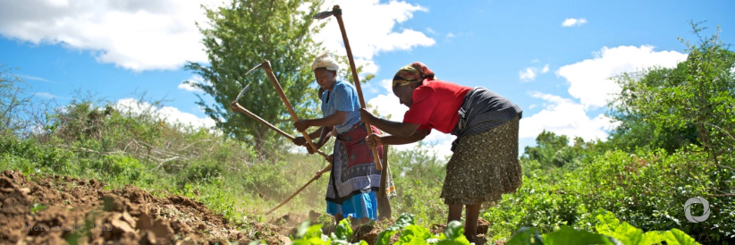 It’s time to transform African agriculture. These numbers show why.