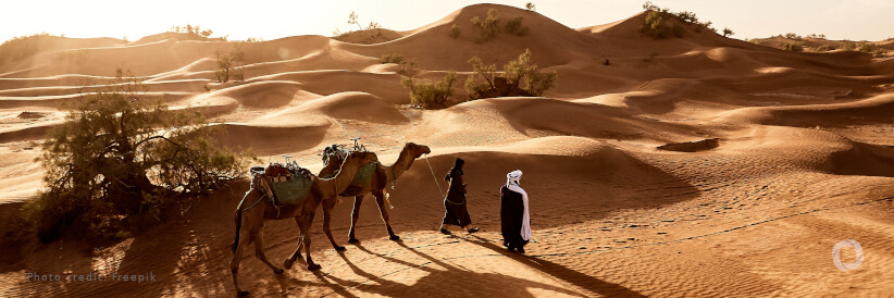 EBRD promotes green investments in Egypt’s small businesses EBRD promotes green investments in Egypt’s small businesses