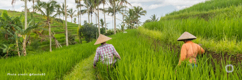 ADB enhances trade and supply chain finance support for food security in Asia ADB enhances trade and supply chain finance support for food security in Asia