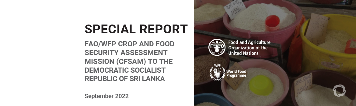 Food crisis in Sri Lanka likely to worsen amid poor agricultural production, price spikes and ongoing economic crisis