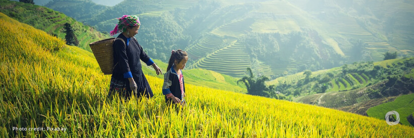 ADB plans $14 billion to ease food crisis, promote long-term food security in Asia and the Pacific ADB plans $14 billion to ease food crisis, promote long-term food security in Asia and the Pacific
