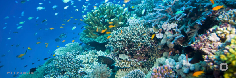 ADB approves $3.8 million support for development of coral reef insurance