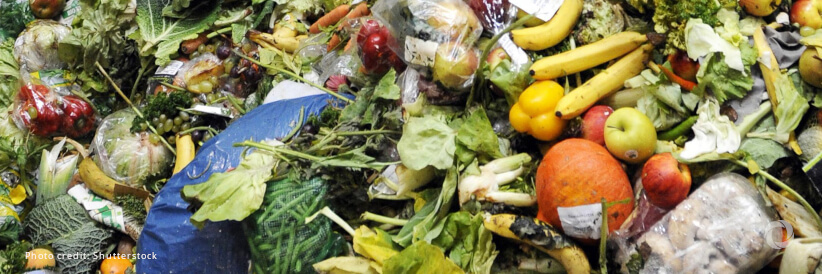 Global food loss and waste are hidden contributors to global hunger, World Vision warns